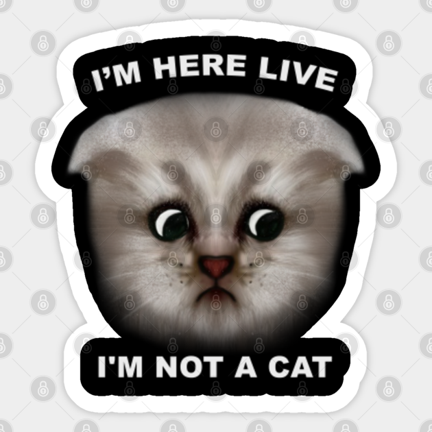 im here live im not a cat tshirt